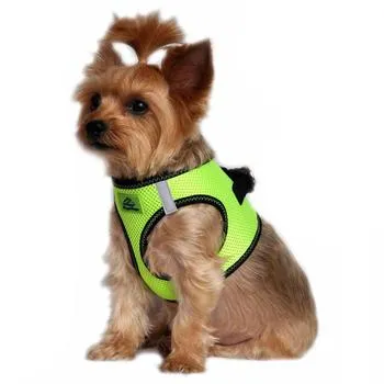 American River Dog Harness - Green