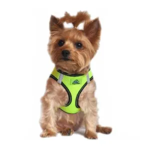American River Dog Harness - Green