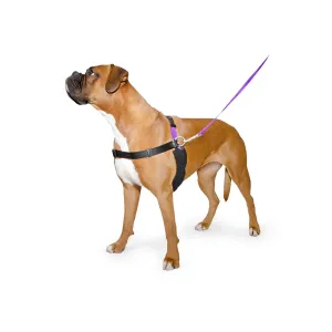 Ancol The Happy At Heels Harness & Lead Large 71-92CM