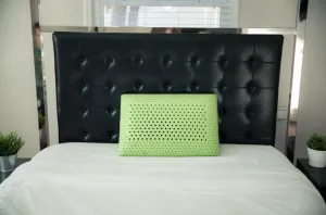 Argan Carbon Secret 6 in 1 Bacteria Protection Pillow