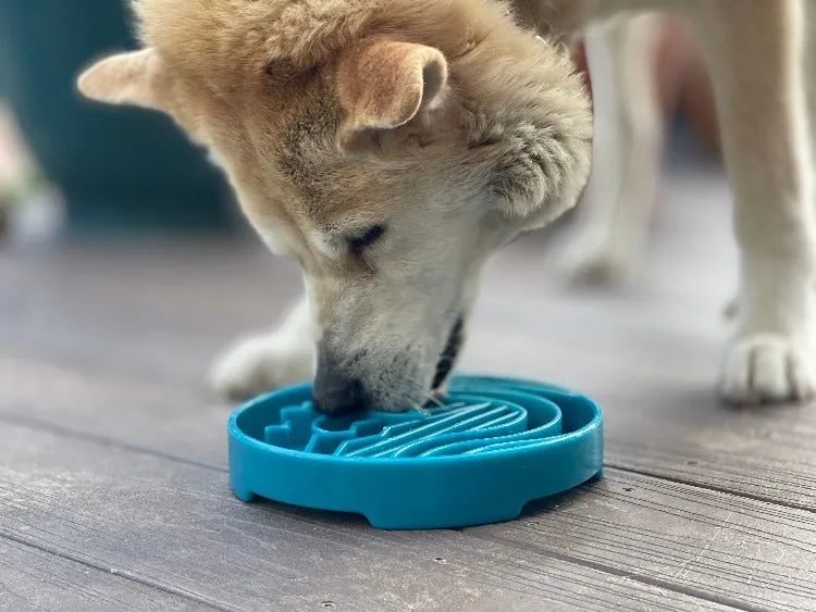 Baja Design eTray Enrichment Slow Feeder Tray for Dogs - Sea Foam