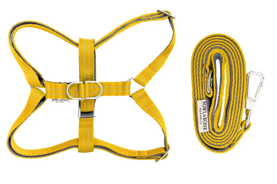 Bowl and Bone Active Yellow Dog Harness