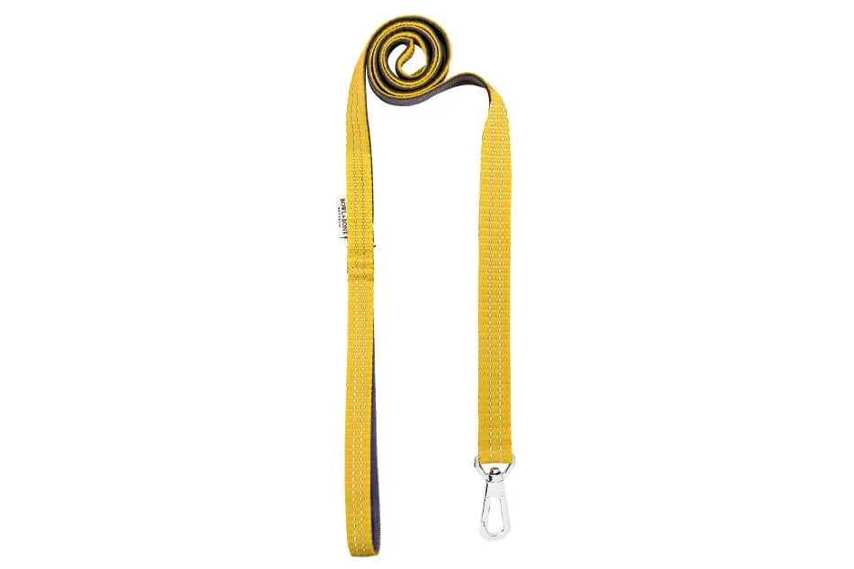 Bowl and Bone Active Yellow Dog Harness