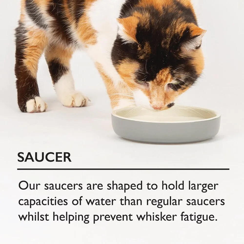 Classic Raised Cat Feeder Bowl & Saucer Set - Grey