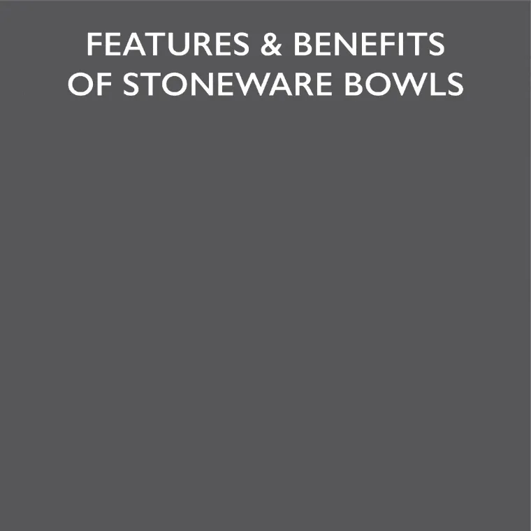Classic Raised Cat Feeder Bowl & Saucer Set - Grey