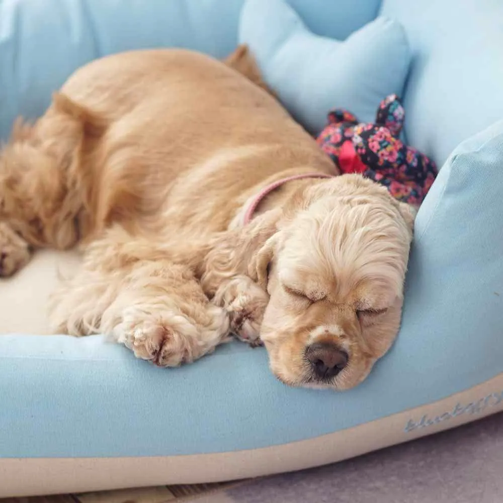 Cover-removable and Washable Color Block Linen Blend Dog Bed