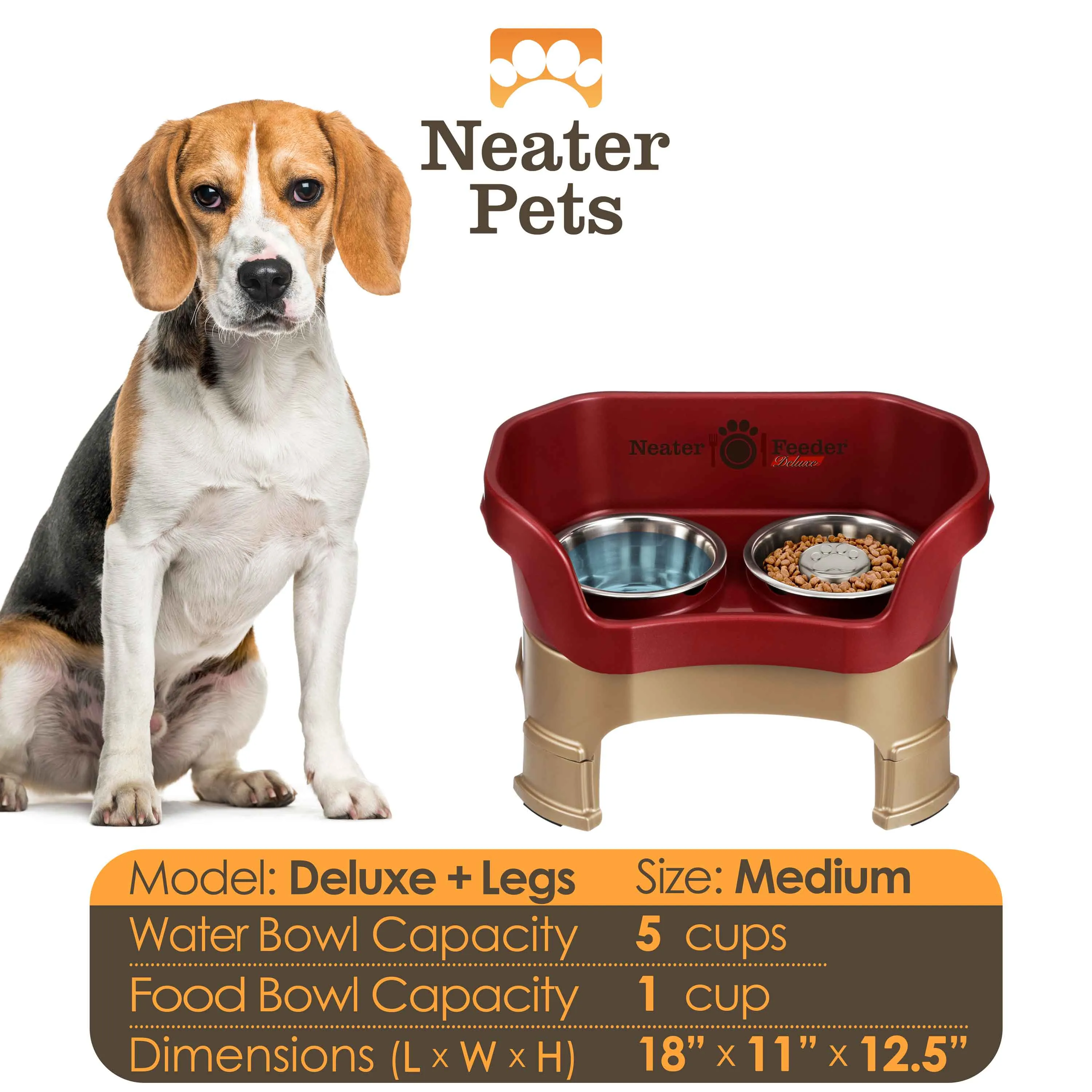 DELUXE Neater Feeder with Stainless Steel Slow Feed Bowl