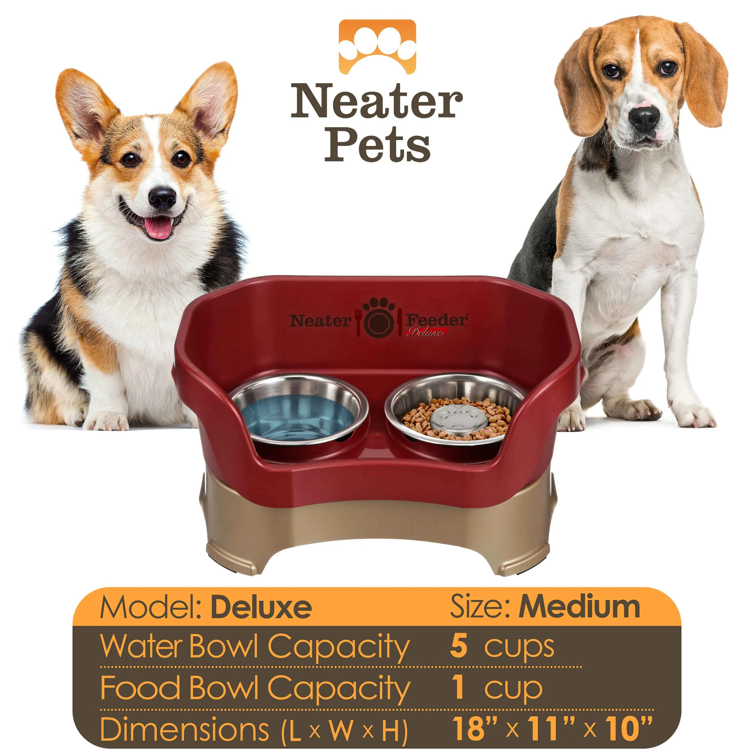 DELUXE Neater Feeder with Stainless Steel Slow Feed Bowl