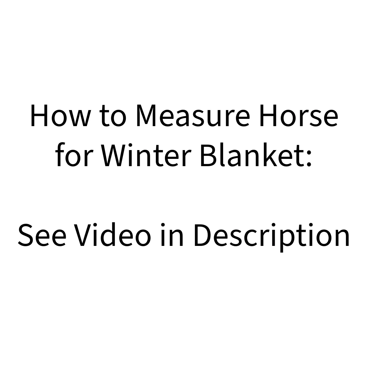 Derby Originals Wind Storm 1200D All Season Waterproof Rain Horse Turnout Sheet