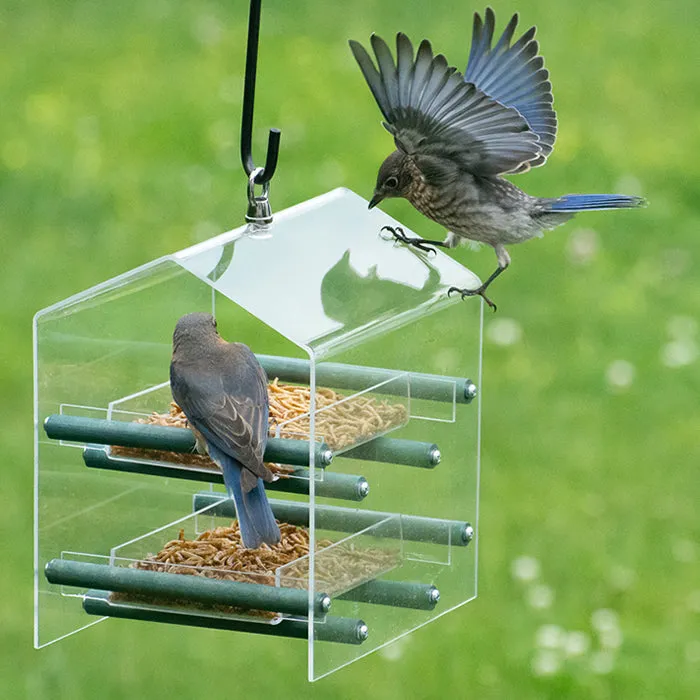 Duncraft Bluebird Landing Twin Tray Feeder