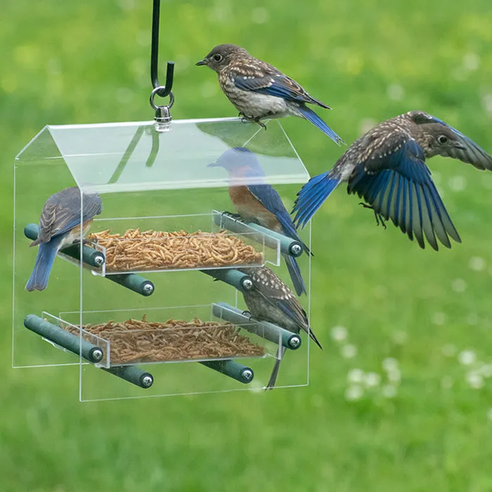 Duncraft Bluebird Landing Twin Tray Feeder