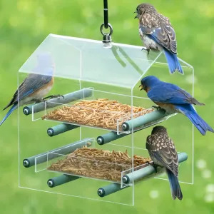 Duncraft Bluebird Landing Twin Tray Feeder