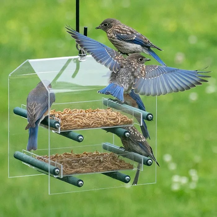 Duncraft Bluebird Landing Twin Tray Feeder
