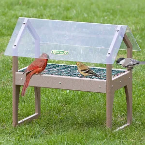 Duncraft Clearview Ground Platform Feeder