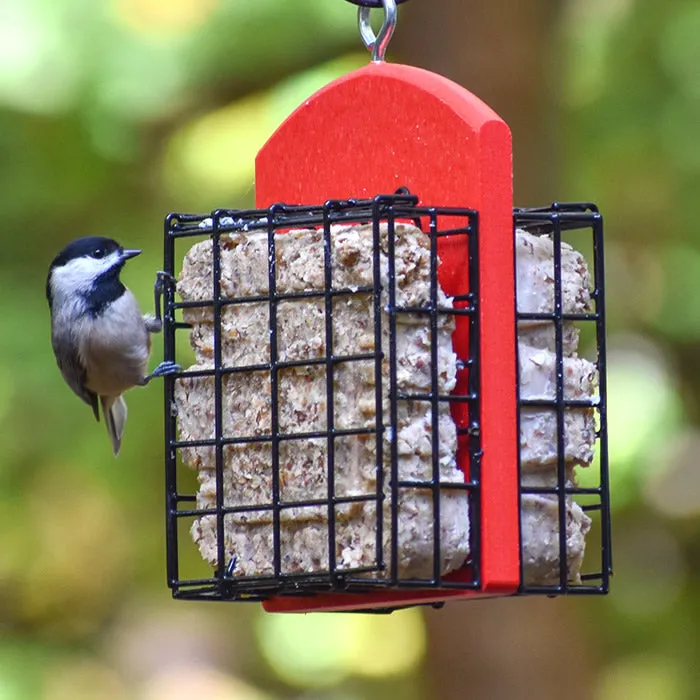 Duncraft Double Suet Feeder