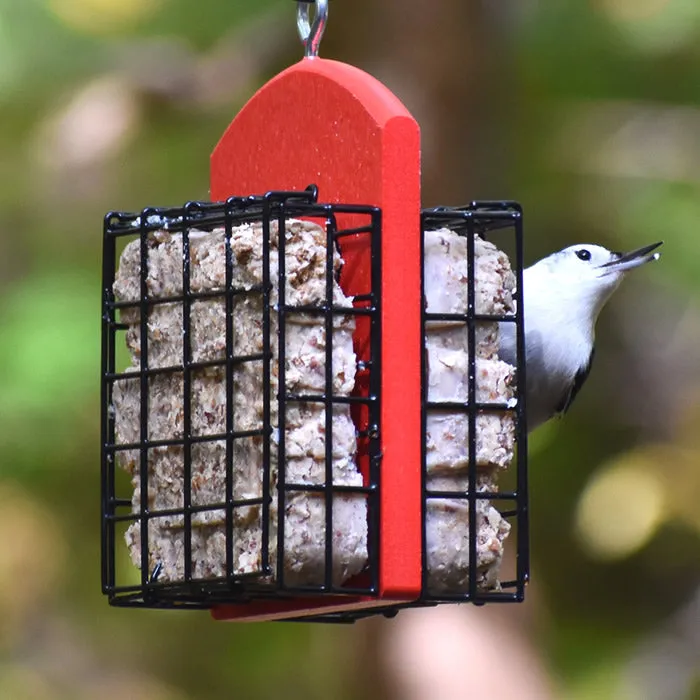 Duncraft Double Suet Feeder