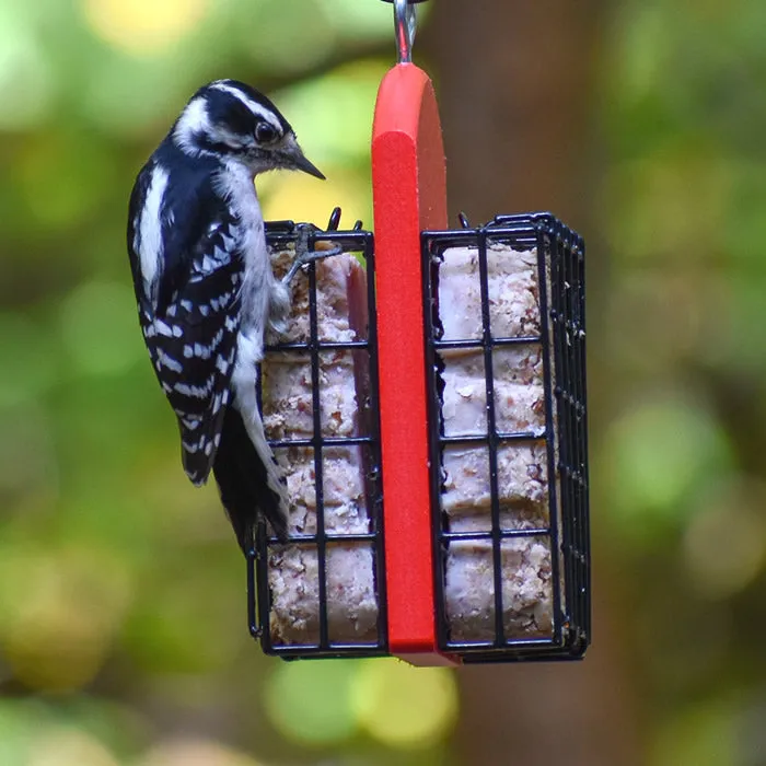 Duncraft Double Suet Feeder