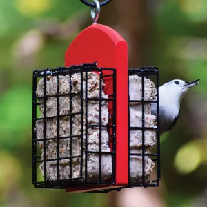 Duncraft Double Suet Feeder