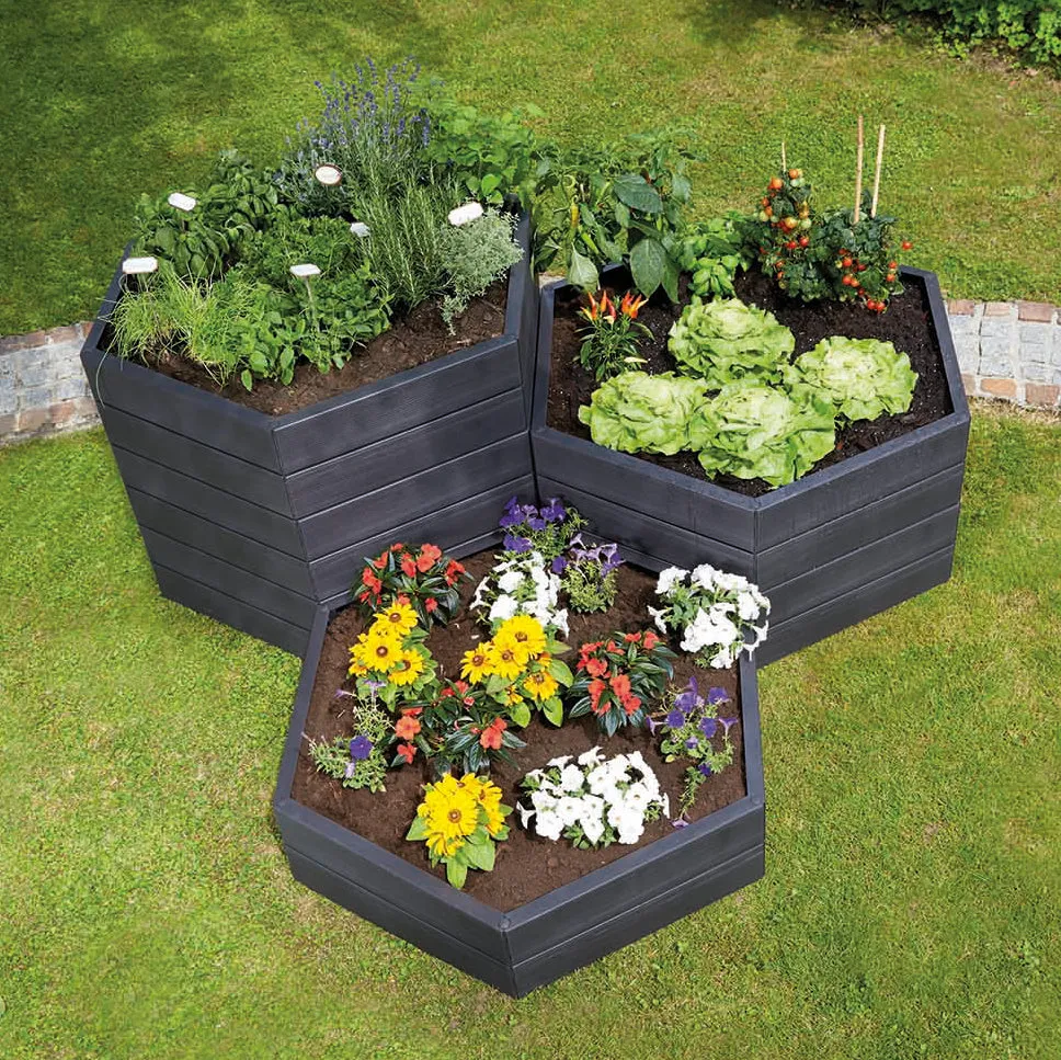 Ergo Raised Bed