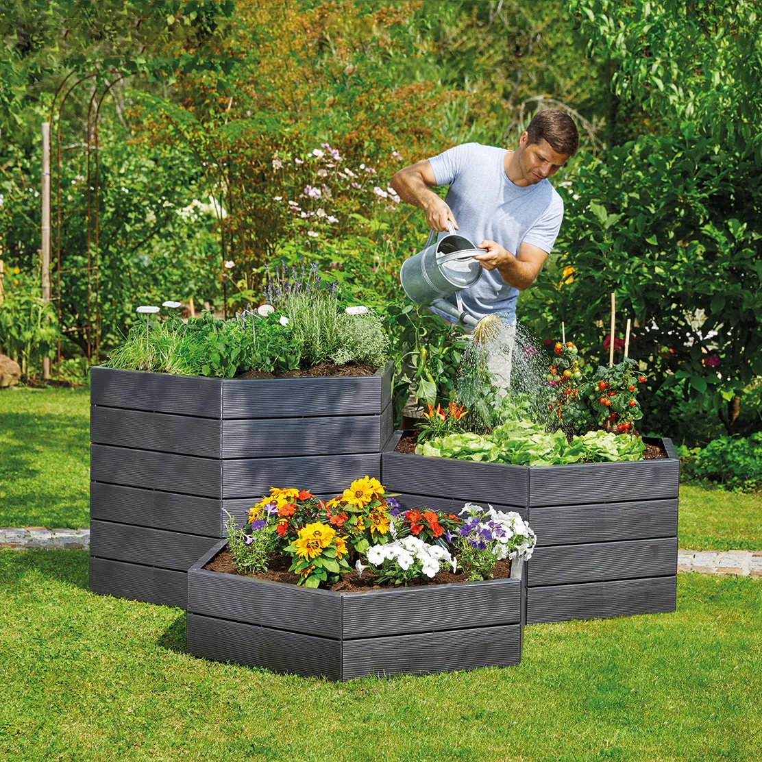 Ergo Raised Bed
