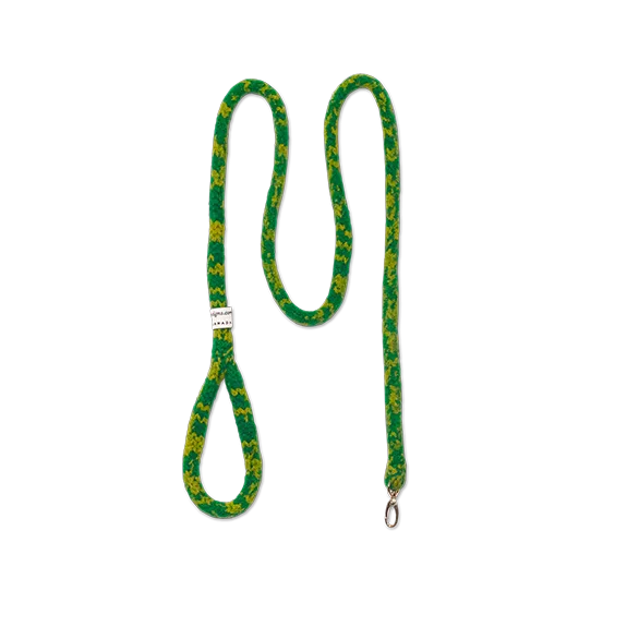 Gentle Leash for Comfort and Safety