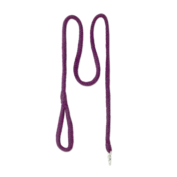 Gentle Leash for Comfort and Safety
