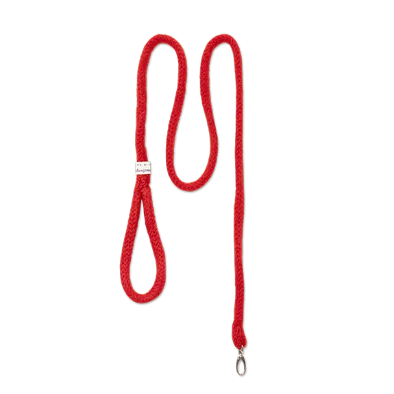 Gentle Leash for Comfort and Safety