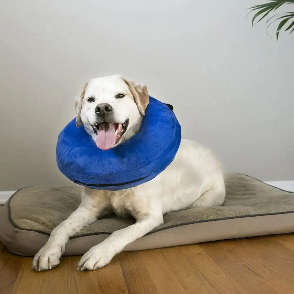 Kong Cloud Collar XS (EL5)