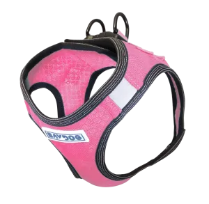 Liberty Bay Dog Harness