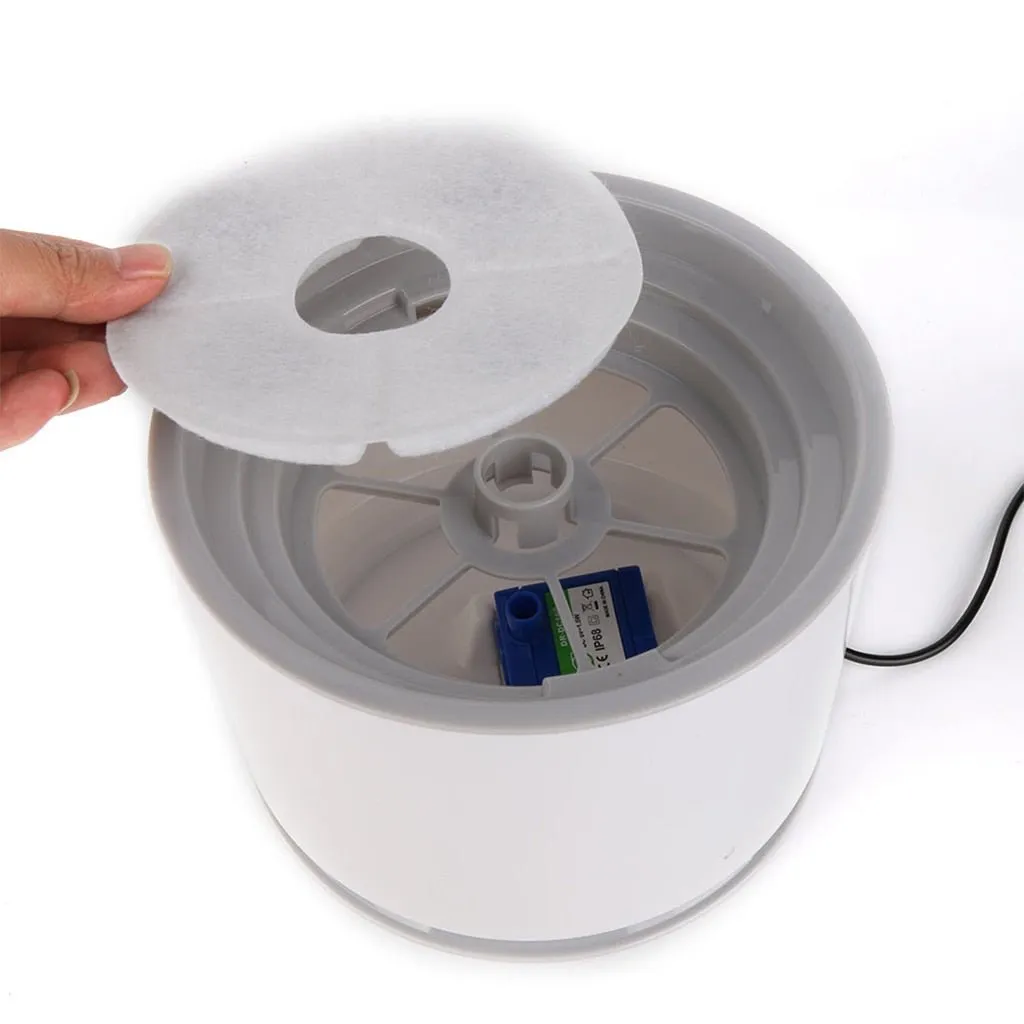 Light Up Hydration: LED Water Fountain for Cats!