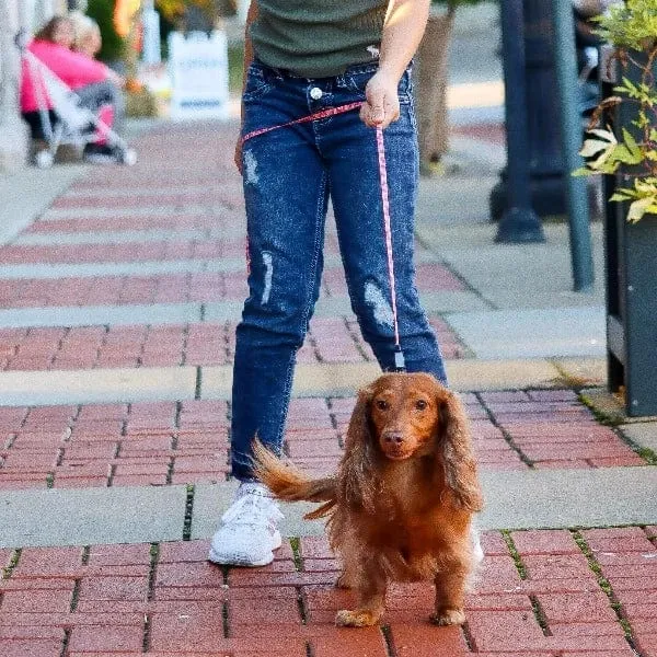 Li'l Pals Dog Leash with E-Z Snap