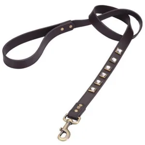Monte Carlo Brown Dog Leash