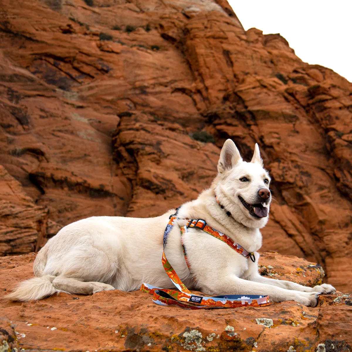 ParkLands COMFORT DOG HARNESS