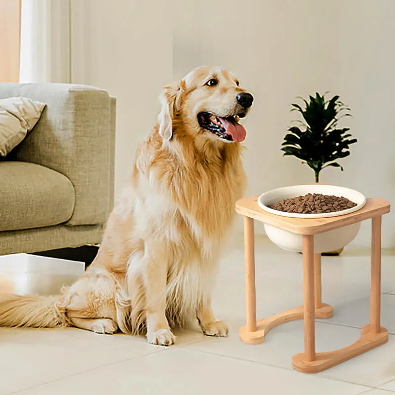 Romanesque Elevated Ceramic Pet Bowl
