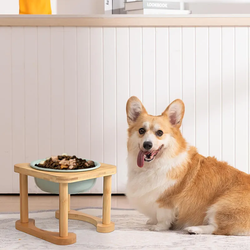 Romanesque Elevated Ceramic Pet Bowl