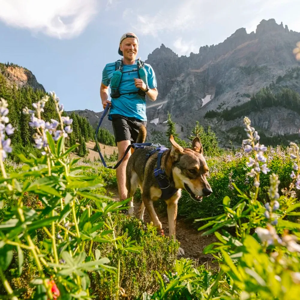 Ruffwear Front Range Dog Harness- Blue