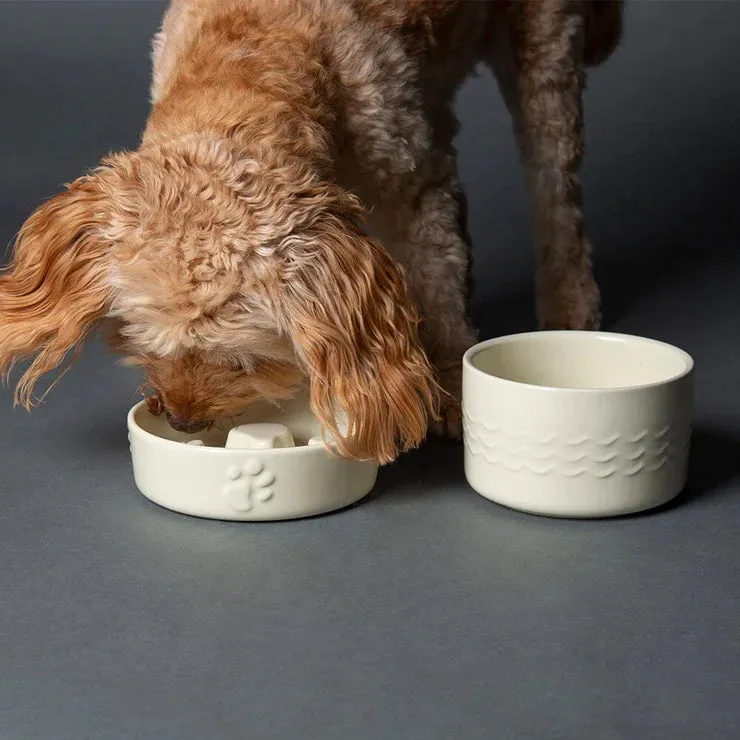 Scruffs Icon Slow Feeder Pet Bowl