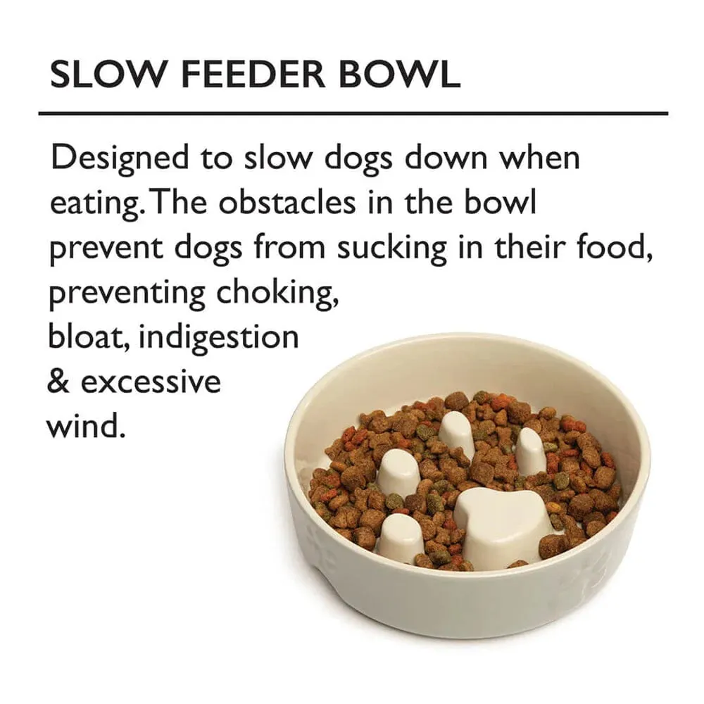 Scruffs Icon Slow Feeder Pet Bowl