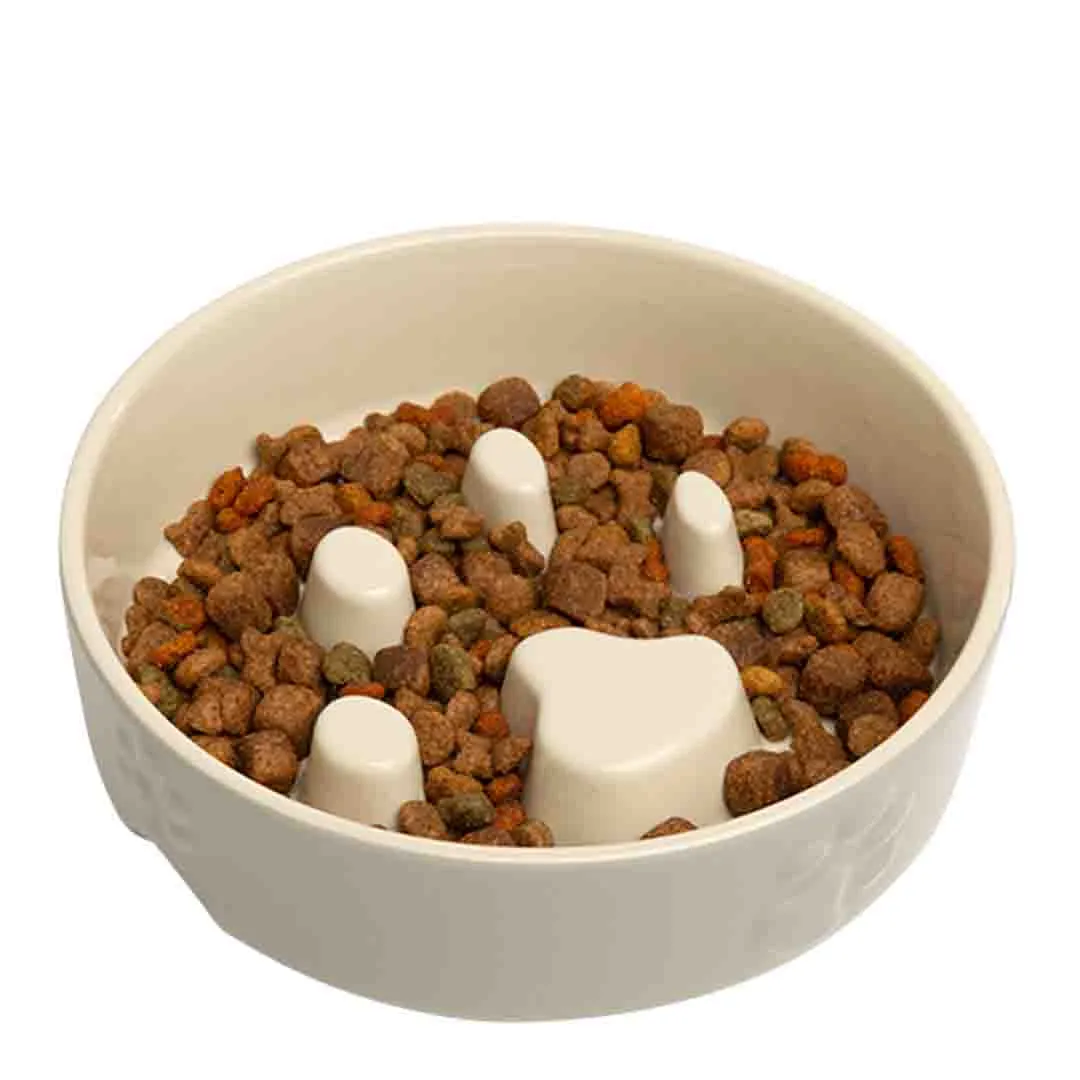 Scruffs Icon Slow Feeder Pet Bowl