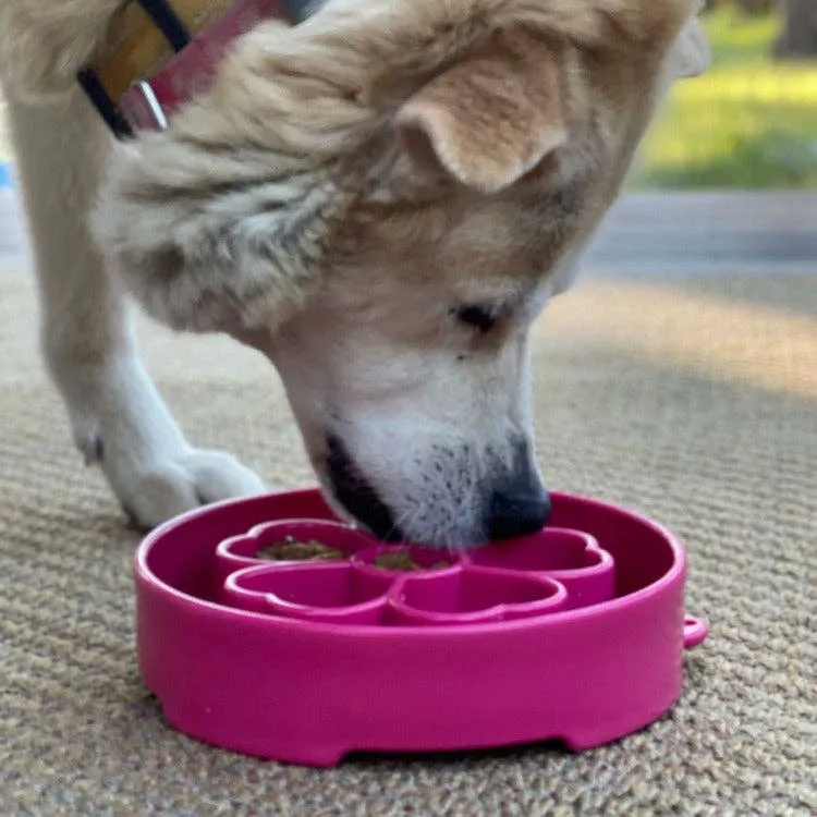 Sodapup Enrichment Slow Feeder Bowl - Flower Pink