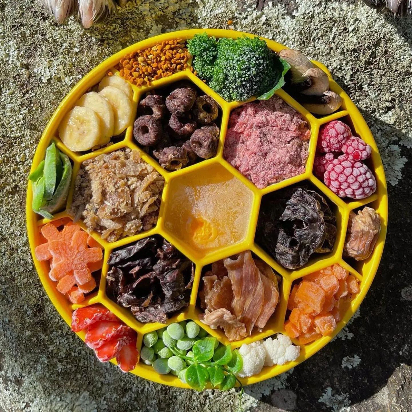 SP Honeycomb Slow Feeder Bowl
