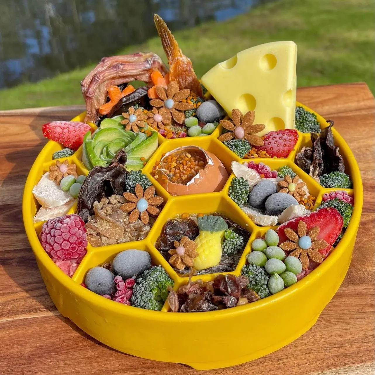 SP Honeycomb Slow Feeder Bowl
