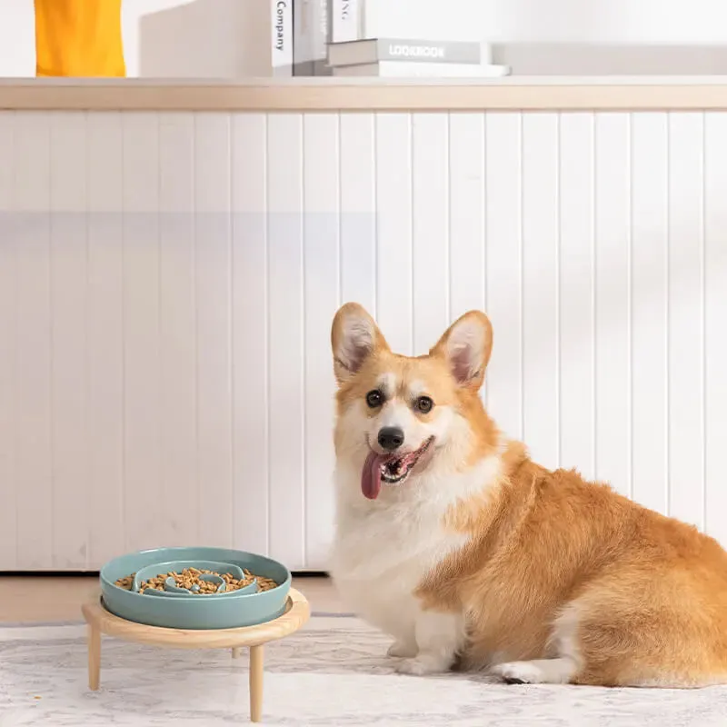 SpunkyJunky® - Slow Feeder Dog Bowl