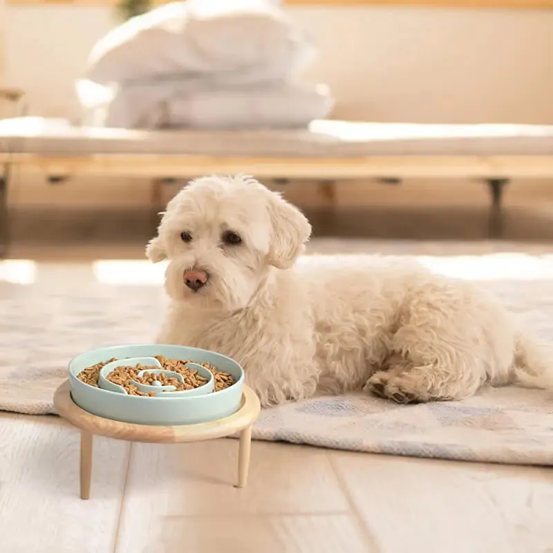 SpunkyJunky® - Slow Feeder Dog Bowl