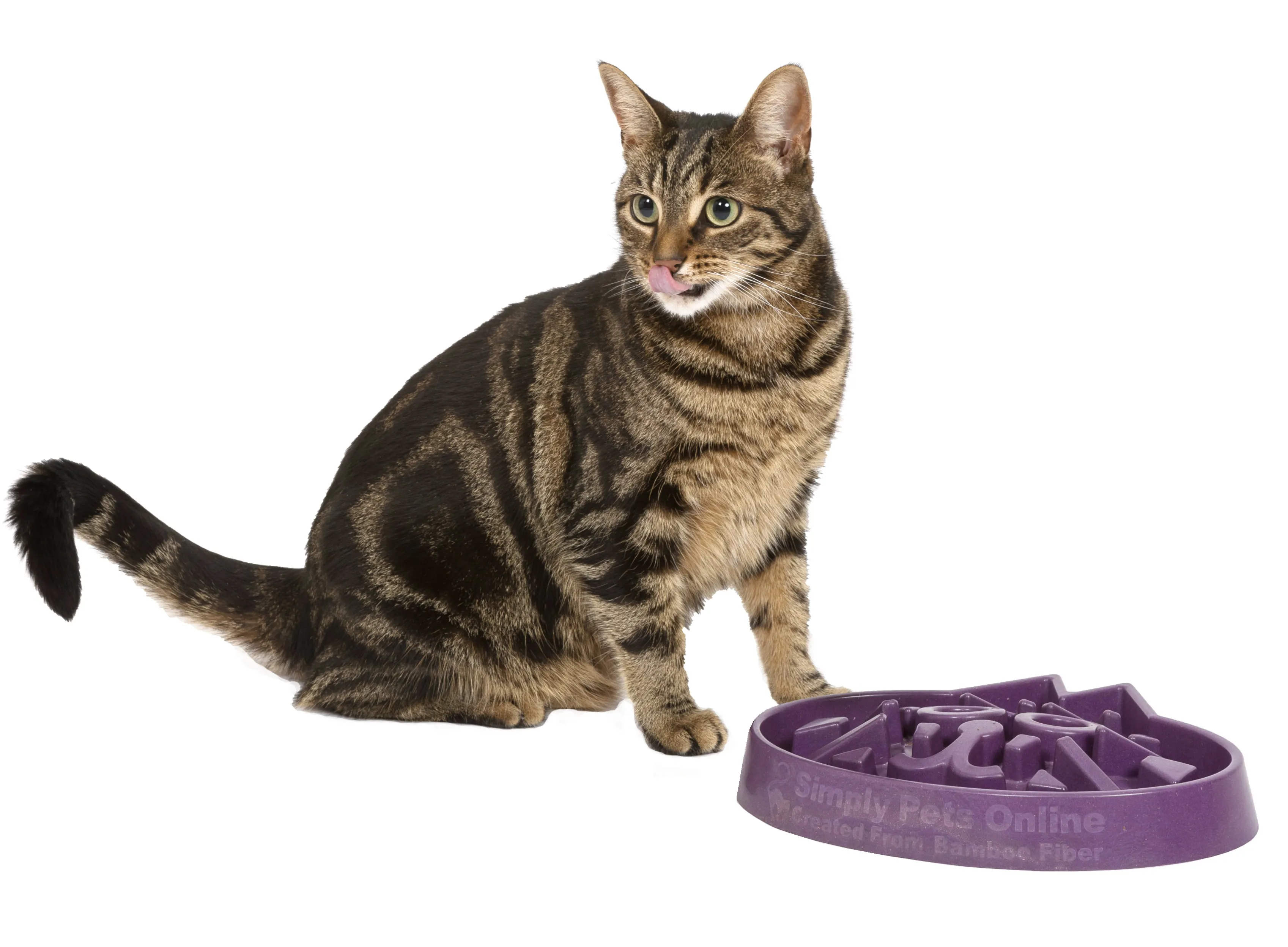 Unique Slow Feed Bowl, Puzzle Feeder For Cats, Puppies, Small Breed Dogs.No Plastic Made From Bamboo