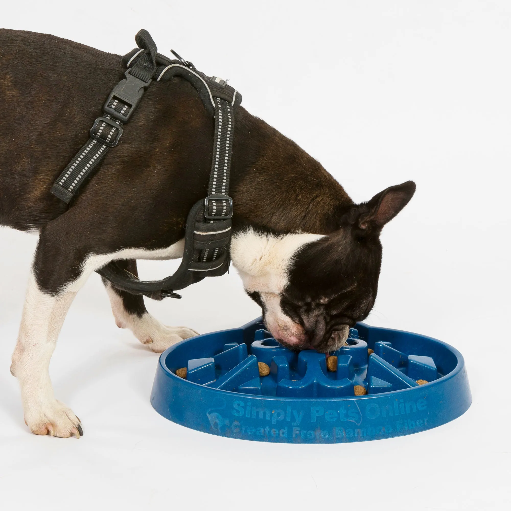 Unique Slow Feed Bowl, Puzzle Feeder For Cats, Puppies, Small Breed Dogs.No Plastic Made From Bamboo
