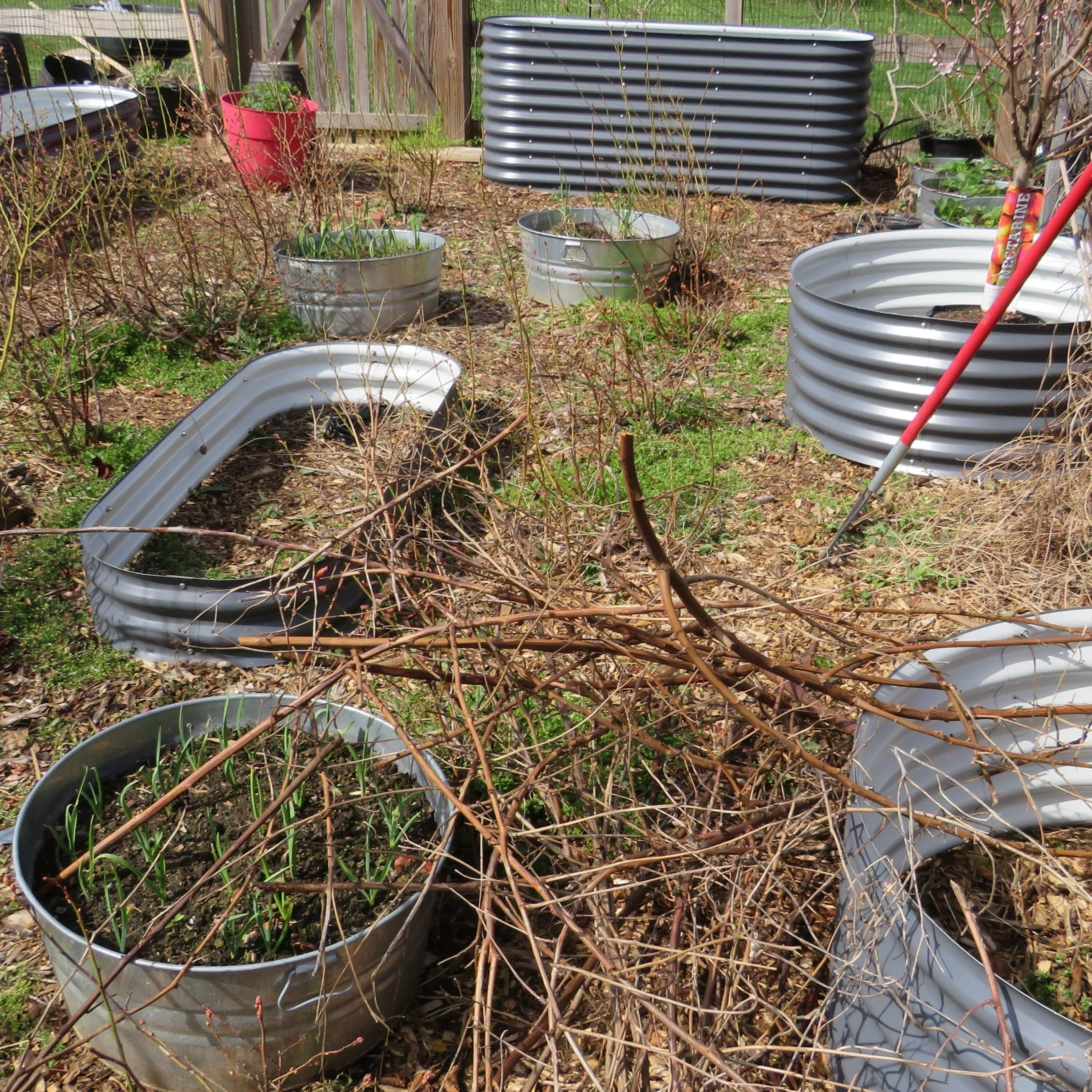 Vegega Raised Beds