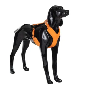 Visibility Dog Harness Orange