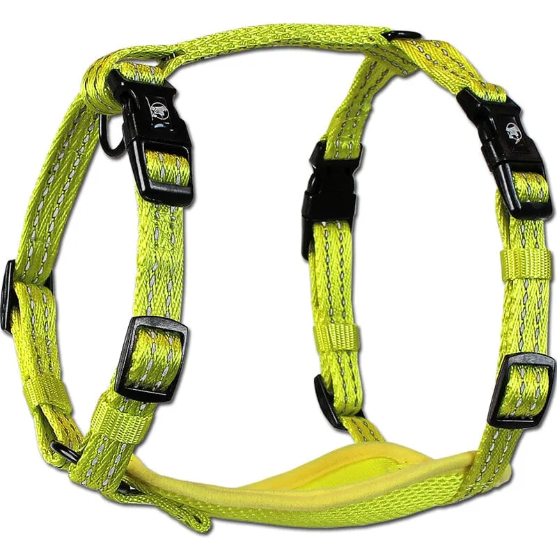 Visibility Harness with Reflective Accents