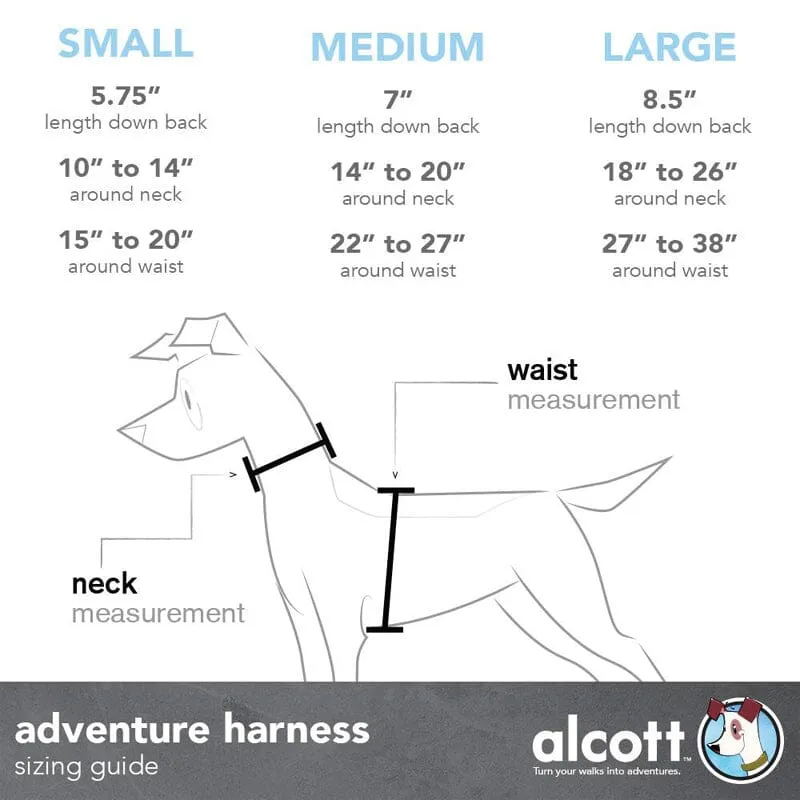 Visibility Harness with Reflective Accents
